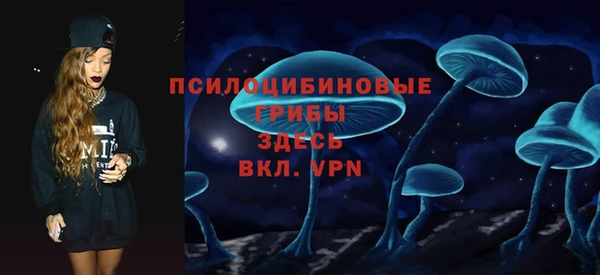 МДПВ Алексин