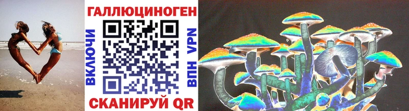 Псилоцибиновые грибы Psilocybe  Уссурийск 